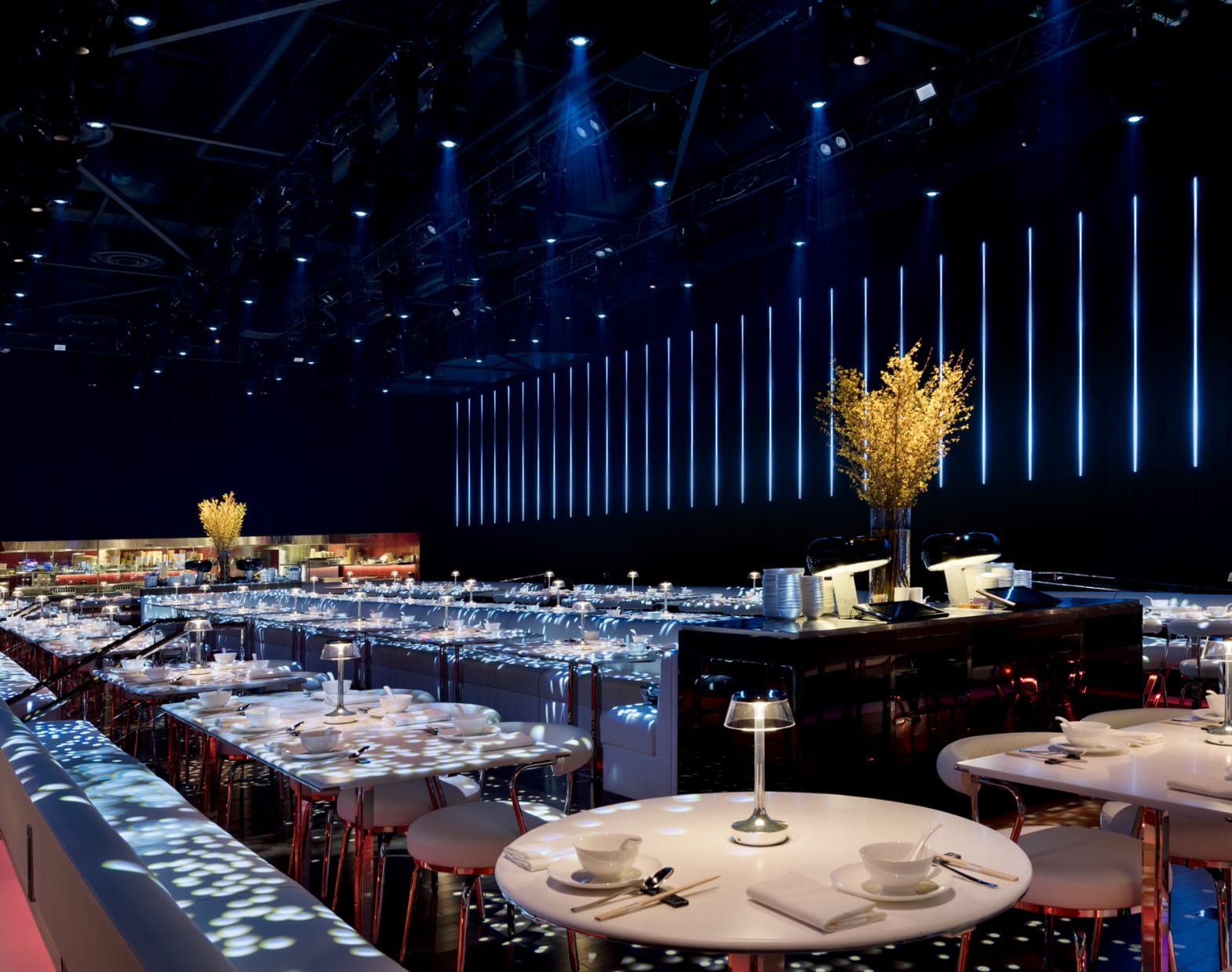 Fontainebleau 10